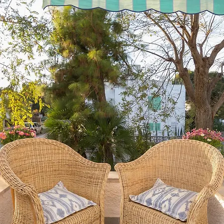 Chalet Cactus *
